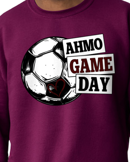 LADY PIRATES ~ AHMO GAME DAY