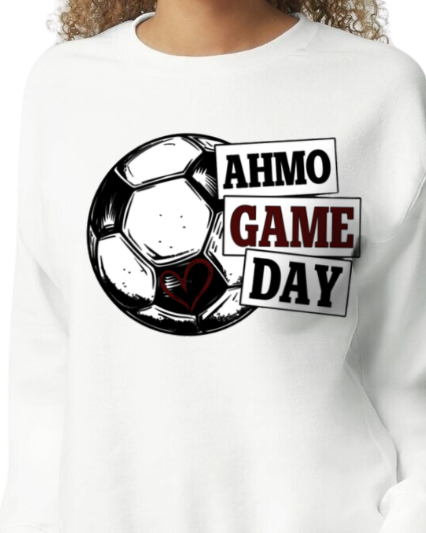 LADY PIRATES ~ AHMO GAME DAY